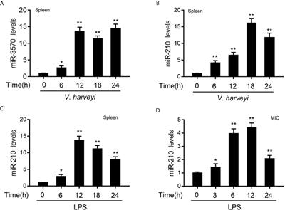 microRNA-210 and microRNA-3570 Negatively Regulate NF-κB-Mediated Inflammatory Responses by Targeting RIPK2 in Teleost Fish